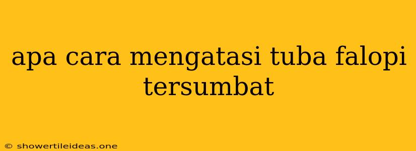 Apa Cara Mengatasi Tuba Falopi Tersumbat