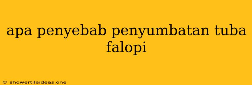 Apa Penyebab Penyumbatan Tuba Falopi