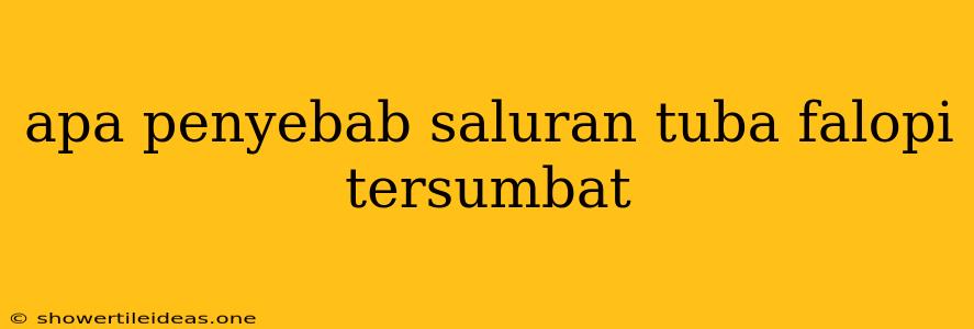 Apa Penyebab Saluran Tuba Falopi Tersumbat