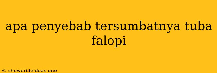 Apa Penyebab Tersumbatnya Tuba Falopi