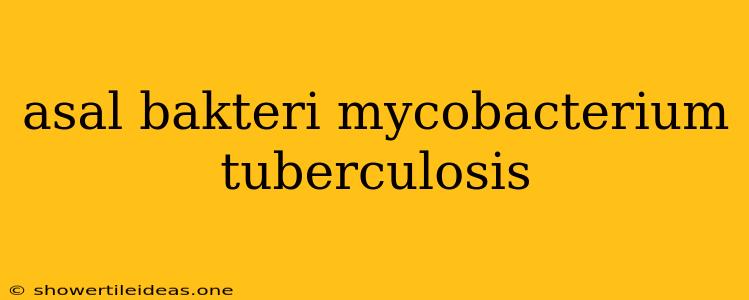 Asal Bakteri Mycobacterium Tuberculosis