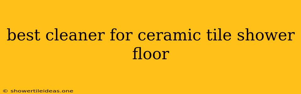 Best Cleaner For Ceramic Tile Shower Floor