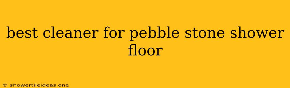 Best Cleaner For Pebble Stone Shower Floor