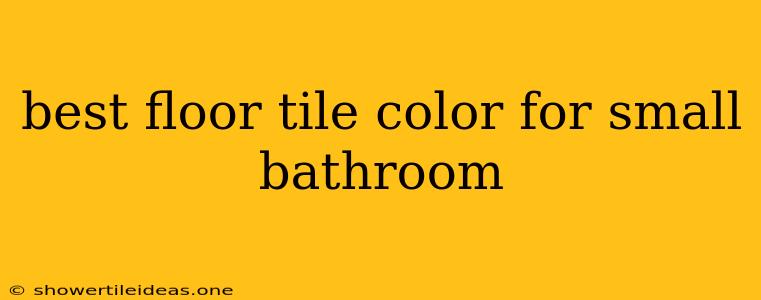 Best Floor Tile Color For Small Bathroom