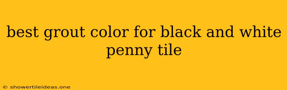 Best Grout Color For Black And White Penny Tile