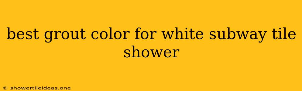 Best Grout Color For White Subway Tile Shower