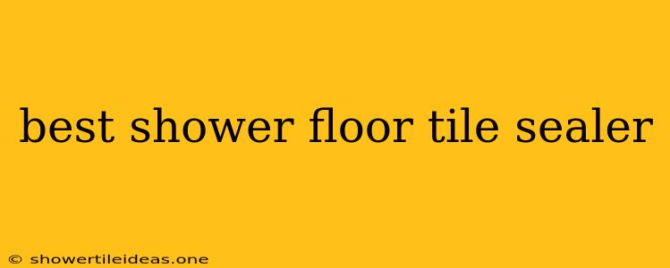 Best Shower Floor Tile Sealer