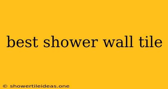 Best Shower Wall Tile