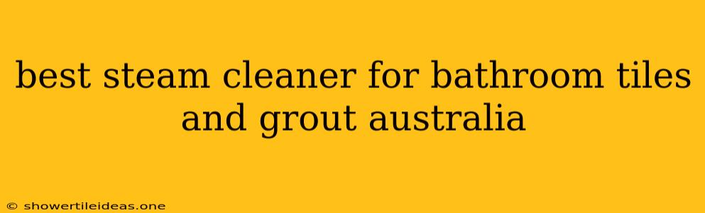 Best Steam Cleaner For Bathroom Tiles And Grout Australia