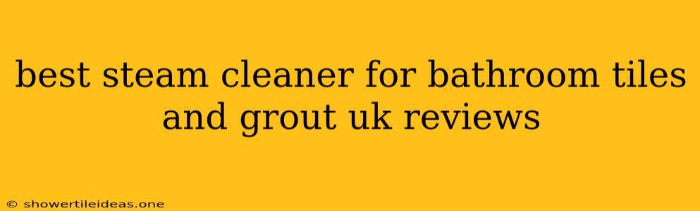 Best Steam Cleaner For Bathroom Tiles And Grout Uk Reviews