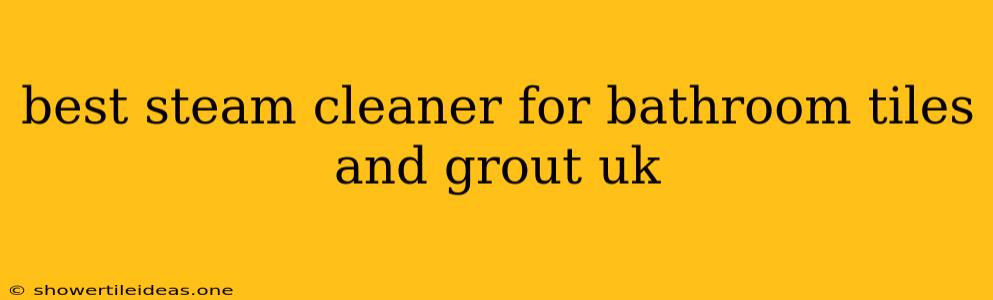 Best Steam Cleaner For Bathroom Tiles And Grout Uk