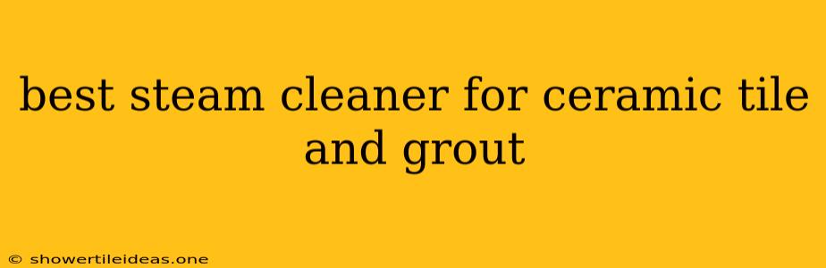 Best Steam Cleaner For Ceramic Tile And Grout