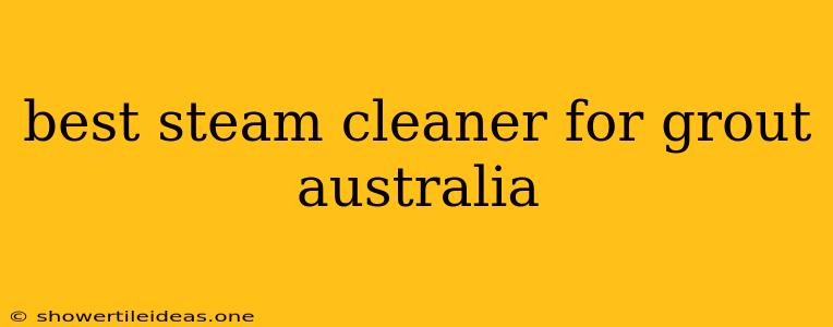 Best Steam Cleaner For Grout Australia