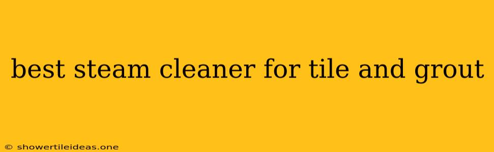 Best Steam Cleaner For Tile And Grout