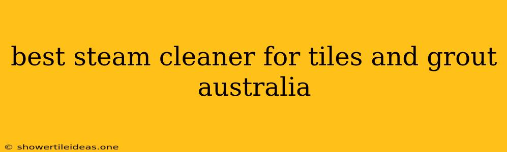 Best Steam Cleaner For Tiles And Grout Australia