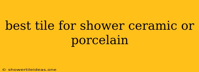 Best Tile For Shower Ceramic Or Porcelain