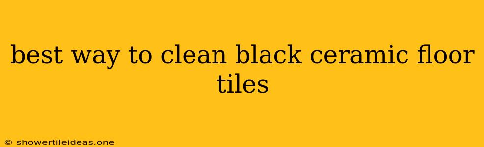 Best Way To Clean Black Ceramic Floor Tiles