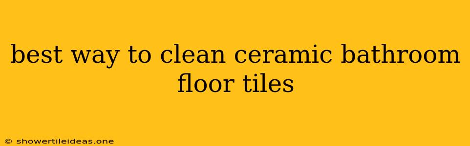 Best Way To Clean Ceramic Bathroom Floor Tiles