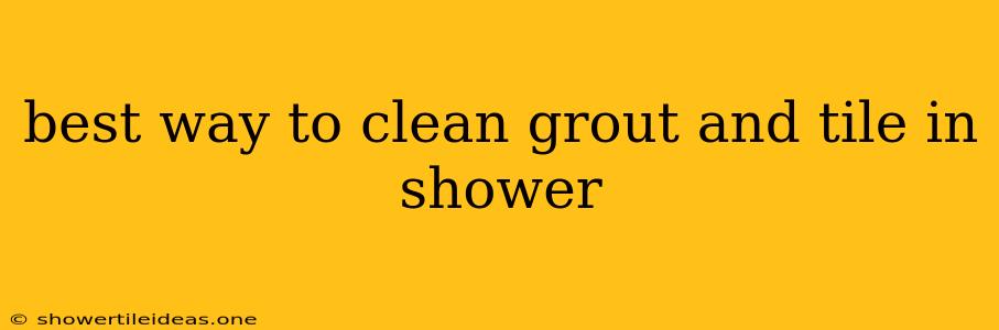 Best Way To Clean Grout And Tile In Shower