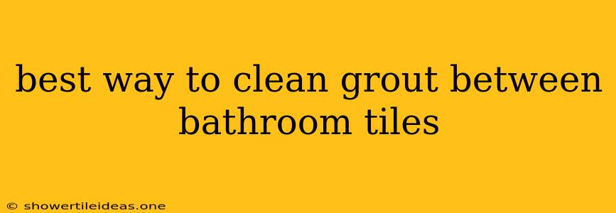 Best Way To Clean Grout Between Bathroom Tiles