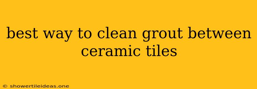 Best Way To Clean Grout Between Ceramic Tiles