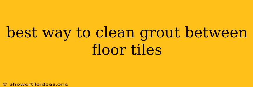 Best Way To Clean Grout Between Floor Tiles