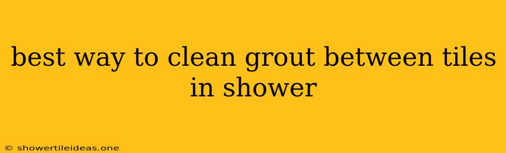 Best Way To Clean Grout Between Tiles In Shower