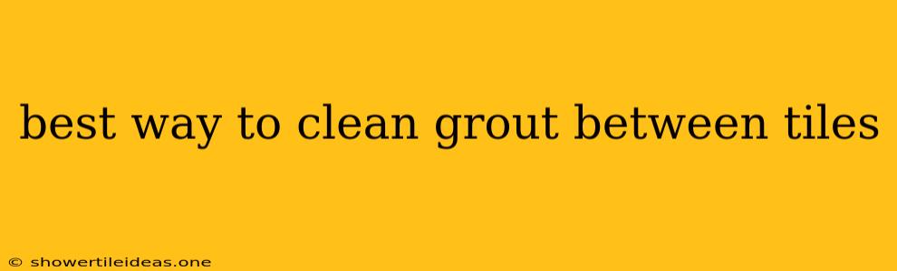 Best Way To Clean Grout Between Tiles