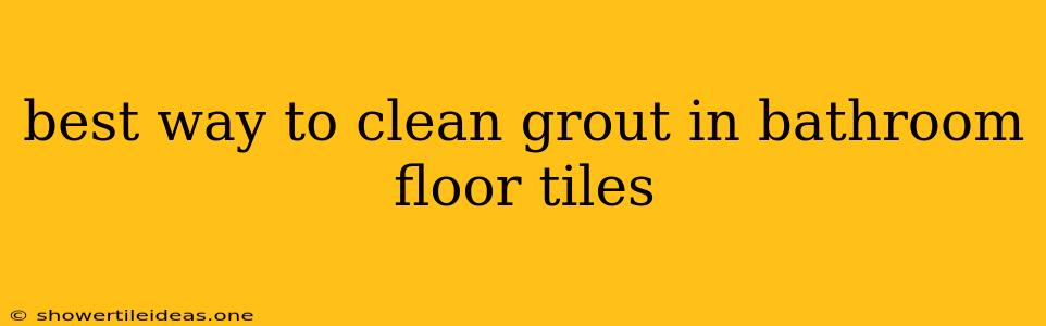 Best Way To Clean Grout In Bathroom Floor Tiles