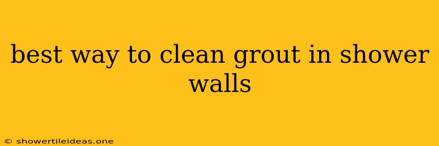 Best Way To Clean Grout In Shower Walls