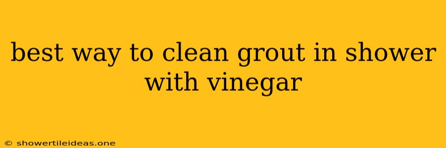 Best Way To Clean Grout In Shower With Vinegar