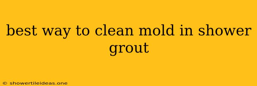 Best Way To Clean Mold In Shower Grout