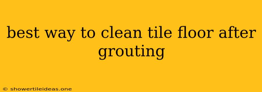 Best Way To Clean Tile Floor After Grouting