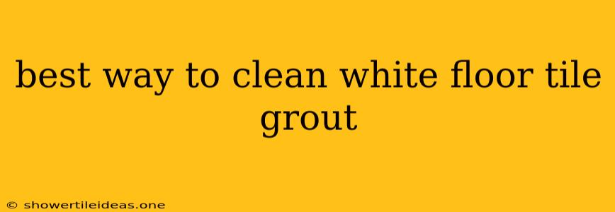 Best Way To Clean White Floor Tile Grout