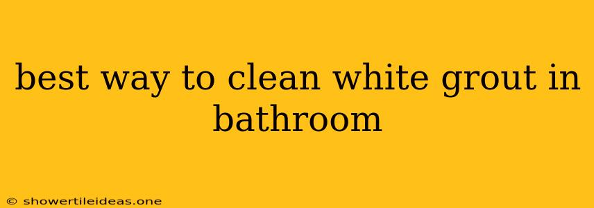 Best Way To Clean White Grout In Bathroom