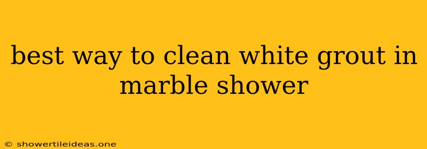 Best Way To Clean White Grout In Marble Shower