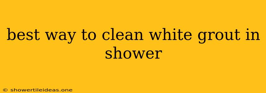 Best Way To Clean White Grout In Shower