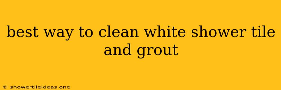 Best Way To Clean White Shower Tile And Grout