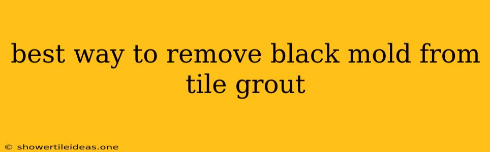 Best Way To Remove Black Mold From Tile Grout