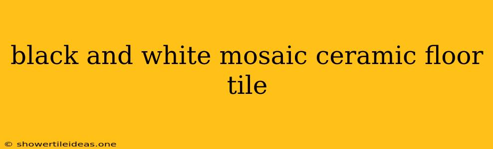 Black And White Mosaic Ceramic Floor Tile