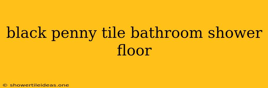 Black Penny Tile Bathroom Shower Floor