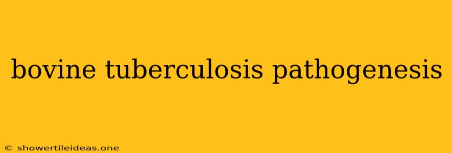 Bovine Tuberculosis Pathogenesis