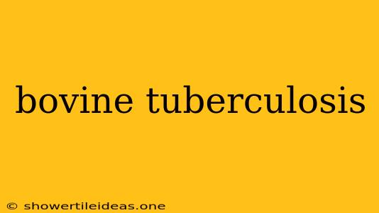 Bovine Tuberculosis