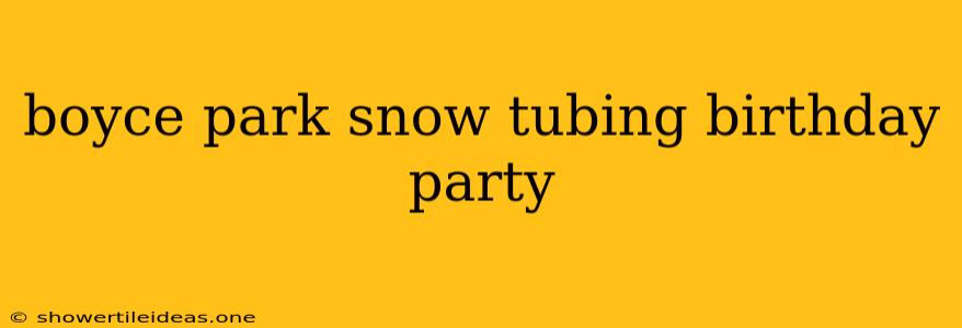 Boyce Park Snow Tubing Birthday Party