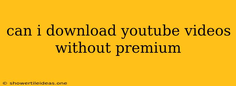 Can I Download Youtube Videos Without Premium