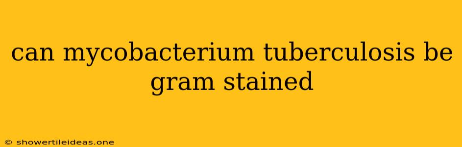 Can Mycobacterium Tuberculosis Be Gram Stained