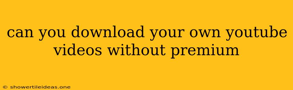 Can You Download Your Own Youtube Videos Without Premium