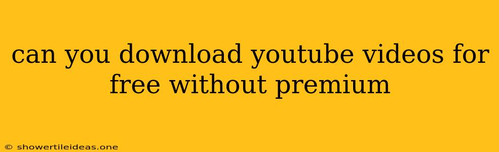 Can You Download Youtube Videos For Free Without Premium