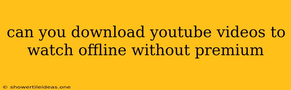 Can You Download Youtube Videos To Watch Offline Without Premium