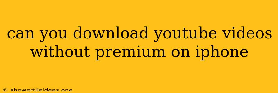 Can You Download Youtube Videos Without Premium On Iphone